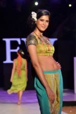 Model walk the ramp for Anupama Dayal Show at IRFW 2012 Day 1 in Goa on 28th Nov 2012 (84).JPG